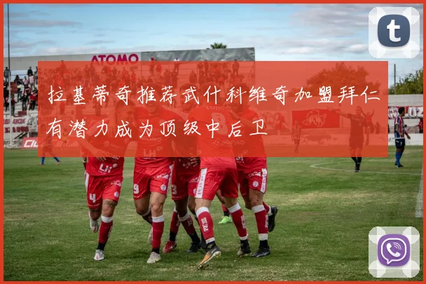 拉基蒂奇推荐武什科维奇加盟拜仁有潜力成为顶级中后卫