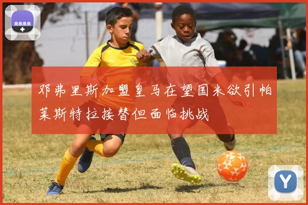 邓弗里斯加盟皇马在望国米欲引帕莱斯特拉接替但面临挑战